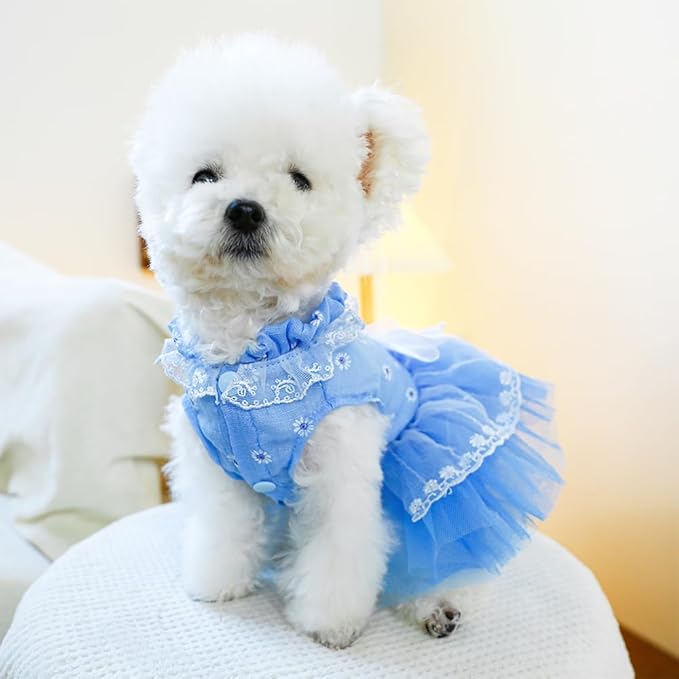 ANIAC Daisy Small Dog Dresses Female with Leash Ring,Bow Knot Girl Puppy Wedding Dress,Valentine's Cat Outfit,Fancy Pet Party Dress for Kitten Chihuahua Yorkie Pomeranian (Blue, Large)