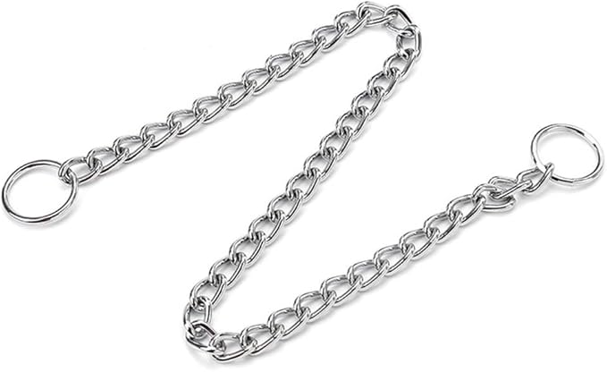 Silver Chain Dog Choke Collar,Metal Slip Link P Chain Training Heavy Duty Male Boys Martingale Collar Female Girls Puppy Collars for XXS XS Small Medium Large Big Breed,S