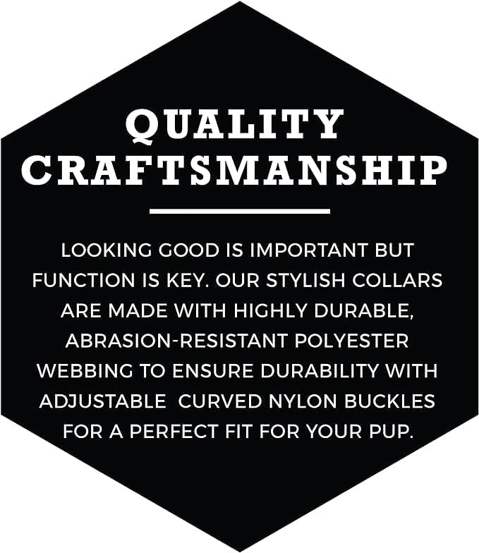 Wolfgang Heavy Duty, Adjustable Dog Collar with Quick Release Nylon Buckle for Walking & Training, PackLeader Print, Large