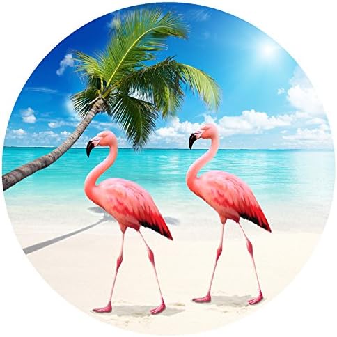 Screen Door Magnets Double Sided – Keep People, Kids, and Dogs from Running into The Screen Door - Robbins Aria Flamingos