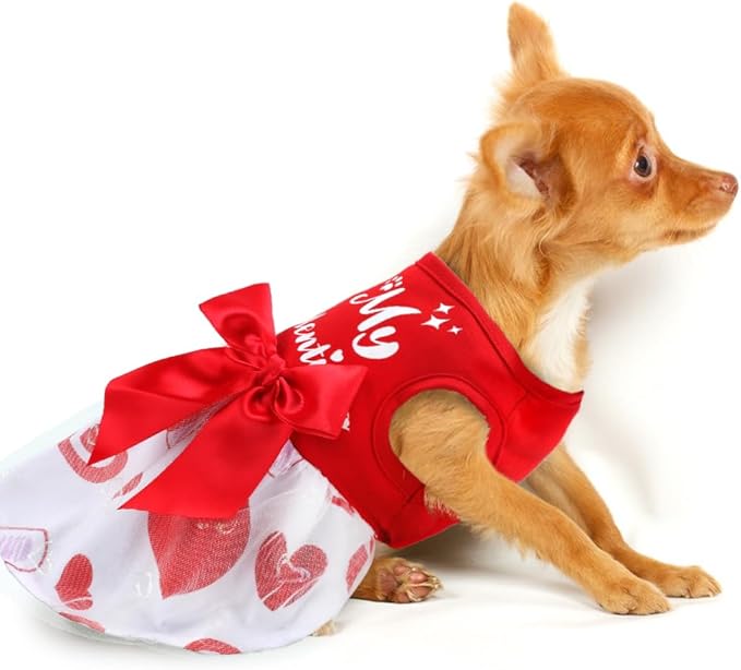 Dog Valentines Day Clothes Be My Pawlentine Dog Valentines Outfit Red Tulle Pet Dress with Bowknot for Small Medium Large Dogs Cat Girl