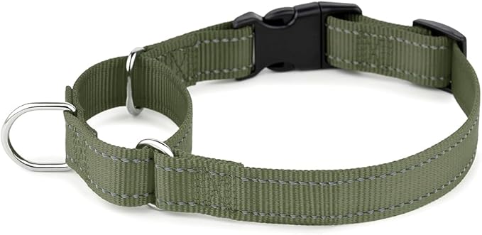 PLUTUS PET Reflective Martingale Collar with Quick Snap Buckle,No Pull Dog Choker Collar for Small Medium Large Dogs,XS,Ranger Green