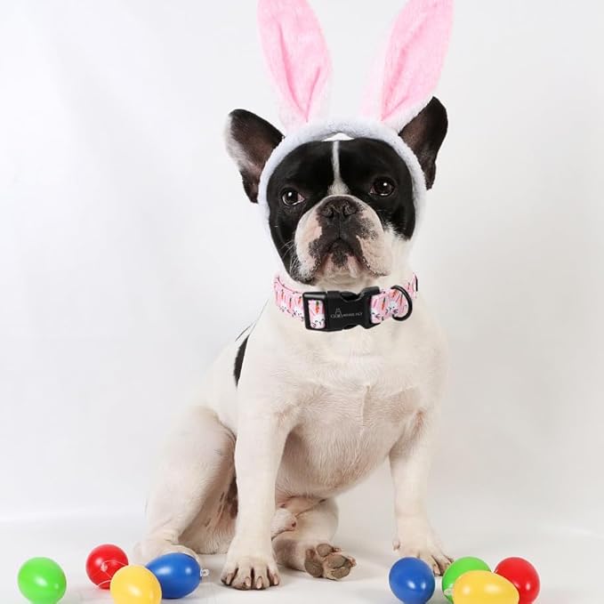 ARING PET Easter Dog Collar, Cute Pink Rabbit Carrot Pet Collars with Quick Release Buckle for Puppy Small Medium Large Boy Girl Dogs-M