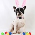 ARING PET Easter Dog Collar, Cute Pink Rabbit Carrot Pet Collars with Quick Release Buckle for Puppy Small Medium Large Boy Girl Dogs-L