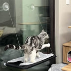 Cat Window Hammock Perch Cat Safety Sunny Bed with Durable Heavy Duty Suction Cups Resting Sunny Window Seat for Indoor Cats Sleeping Space Saving Window Mounted Holds Up to 30lbs (Black)…