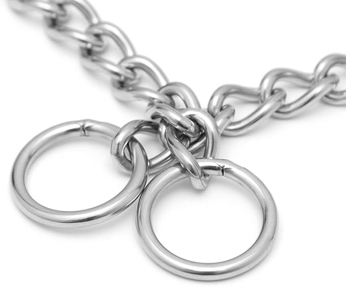 Silver Metal Dog Collar Slip P Chain Collar Stainless Steel Dogs Link Training Puppy Martingale Collars for XXS XS Small Medium Large Big XL Breed Dogs S