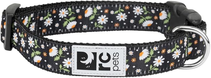 Training Collar | Daisies, Large