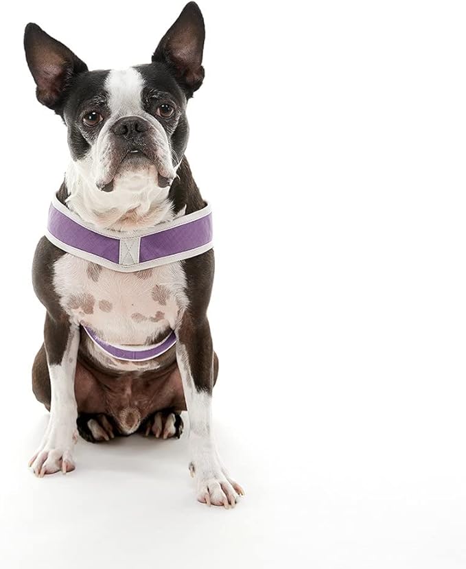 Gooby Simple Step in III Harness - Purple, Small - Small Dog Harness with Scratch Resistant Outer Vest - Soft Inner Mesh Harness for Small, Medium Dogs