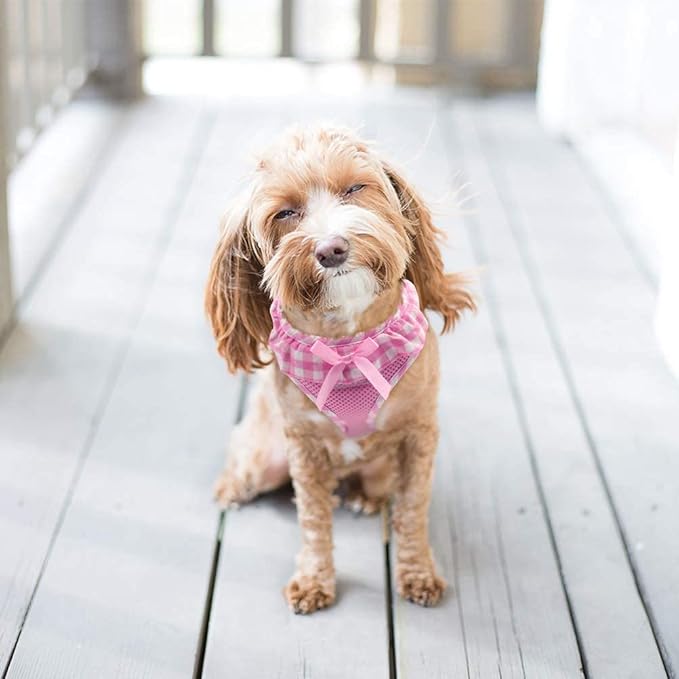 PUPTECK Dog Harness for Puppy and Small Sized Dogs, Step-in No Pull Soft Mesh Vest Harness for Cats Small Pets Walking, Pink, S