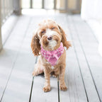 PUPTECK Dog Harness for Puppy and Small Sized Dogs, Step-in No Pull Soft Mesh Vest Harness for Cats Small Pets Walking, Pink, S