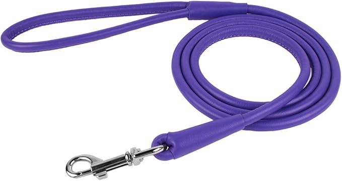 CollarDirect Rolled Leather Dog Leash 4ft, Soft Padded Training Leather Dog Lead 6ft, Puppy Leash Rolled Leather Small Medium Large Black Blue Red Orange Green Pink White (Pink, Size XL 6ft)