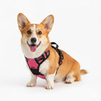 No Pull Dog Harness, Reflective Comfortable Vest Harness with Front & Back Easy Control Handle Adjustable Soft Padded Pet Vest for Small to Large Dogs(Pink,S)