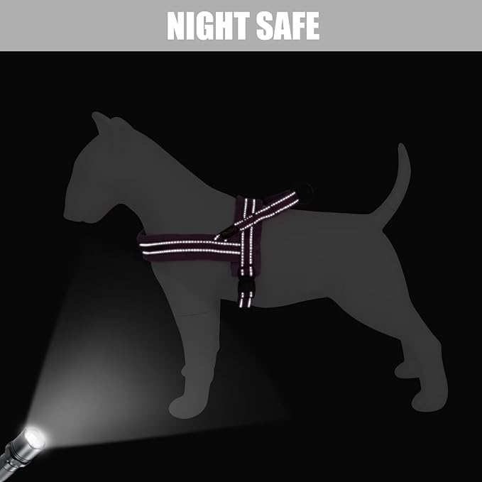 Didog Soft Flannel Padded Dog Vest Harness, No Pull/Quick Fit Reflective Dog Strap Harness, Easy for Training Walking (S:Chest 18-22", Purple)