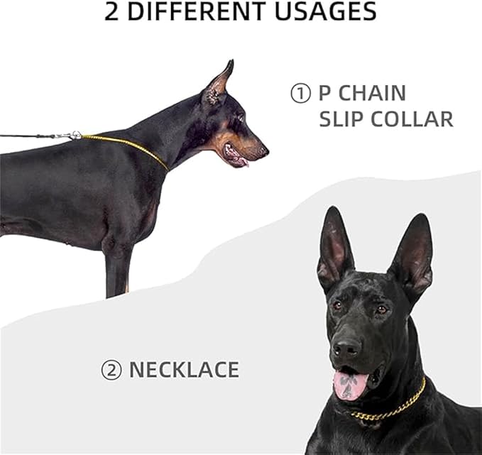 Gold Chain Collar for Dogs,Metal Slip Link Martingale Dog Collar Training Heavy Duty Male Boys Dog Chain Female Girls Puppy Collars for XXS XS Small Medium Large Big Breed,XS