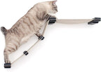 Catastrophic Creations Cat Tree with Hammock Perch – Mounting Wall Cat Shelves w/Canvas Fabric – Bamboo Wood Cat Tree Floating Steps – Lounger & Climber Cat Trees – Modern Cat Furniture