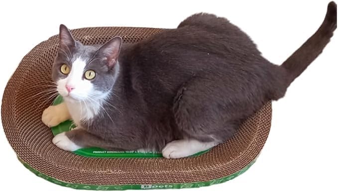 B Kitty Scratcher Cat Bed, Fun for Your Purr-FECT Feline (B-Scratcher Oval Pack x 5)