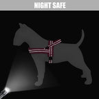 Didog Soft Flannel Padded Dog Vest Harness, No Pull/Quick Fit Reflective Dog Strap Harness, Easy for Training Walking (L:Chest 26-32", Hot Pink)