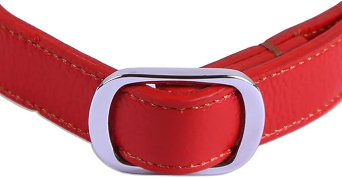 Love Dream Martingale Collars for Dogs, Leather Training Dog Collar, Stainless Steel Chain Anti-Escape No Pull Dog Collar for Medium Large Dogs (L(15.7"-20.9"), Red)