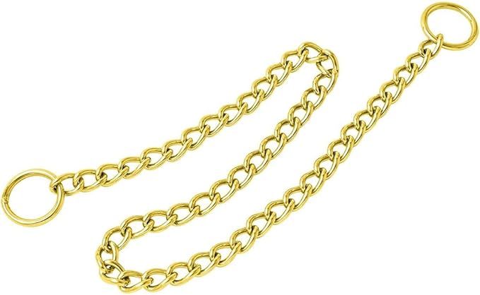 Gold Chain Collar for Dogs,Metal Slip Link Martingale Dog Collar Training Heavy Duty Male Boys Dog Chain Female Girls Puppy Collars for XXS XS Small Medium Large Big Breed,XS