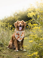 Elegant little tail Dog Bandanas - 1Pack Floral Print Washable Dog Scarf Female Square Bib Kerchief Scarf Adjustable Pet Bandana for Small Medium Dogs