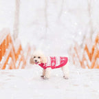 KOOLTAIL Cable Knit Valentines Dog Sweater Turtleneck, Cold Weather Pullover Classic Knitwear, Snowflake Pattern Thick Warm Winter Pet Clothes, Dog Sweater for Small Medium Large Dogs Girl, Pink S