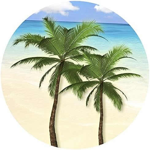 Screen Door Magnets Double Sided – Keep People, Kids, and Dogs from Running into The Screen Door - Robbins Aria Palm Tree