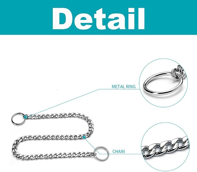 Flat Dog Chain Collar, Metal Slip P-Link Training Heavy Duty Dog Choker Collar Puppy Collars for Small Medium Large Dogs, Silver S