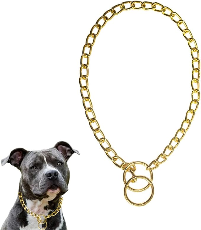 Metal Collar for Dogs Chain Link Training Collar P Slip Puppy Martingale Collars for Small Medium Large Big XL Breed Dogs Gold XL