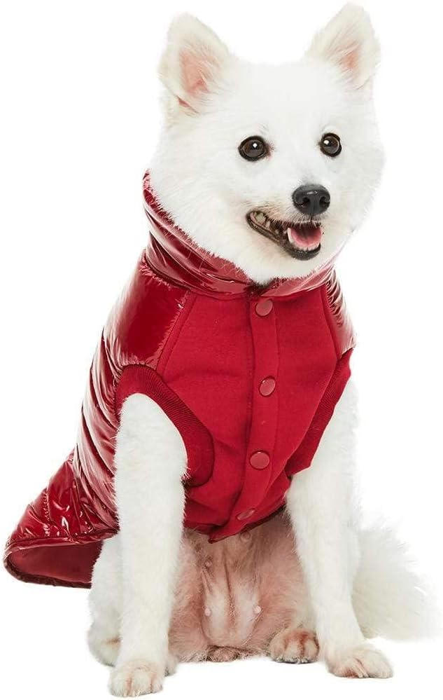 Blueberry Pet Cozy & Comfy Windproof Lightweight Quilted Fall Winter Glossy Dog Puffer Jacket in Deep Rouge, Back Length 24", Size 22, Warm Coat for Large Dogs
