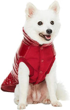 Blueberry Pet Cozy & Comfy Windproof Lightweight Quilted Fall Winter Glossy Dog Puffer Jacket in Deep Rouge, Back Length 12.5", Size 10, Warm Coat for Small Dogs