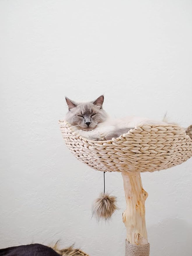 Modern Cat Tree Tower, Real Branch luxury Cat Condo, Wood Cat Tower, Cat Scratching Tree, Cat Condo, Cat Lover Gift, Luxury Cat, Cat Gifts by Mau Lifestyle