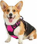 No Pull Dog Harness, Reflective Comfortable Vest Harness with Front & Back Easy Control Handle Adjustable Soft Padded Pet Vest for Small to Large Dogs(Rose,S)