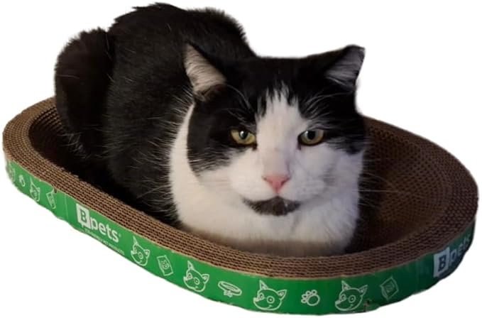 Cat Scratcher Lounge Cardboard Bed – Sturdy Oval Shape for Claw Care and Comfort