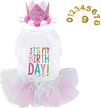 ANIAC Dog Birthday Dress and Hat Set Puppy Lace Tutu Pink Pet Crown Hat with 0-9 Figures Birthday Outfit for Cats Small Dog (White+Pink,Large)