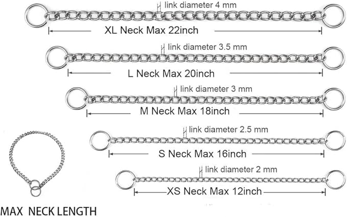 Chain Collar for Dogs, Slip P Chain Metal Link Training Heavy Duty Martingale Dog Collar for Xs Small Medium Large Big XL Breed Dogs (Silver, XL)