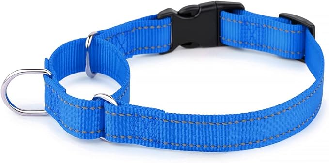 Plutus Pet Reflective Martingale Collar with Buckle - Durable and Adjustable Training Collar for No Pulling, Dog Choker Collar for Small Medium Large Dogs, Royal Blue, XS