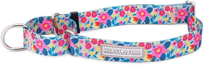 Lucky Love Dog Martingale Dog Collar - Adjustable, No-Slip, Durable, & Soft Webbing Collar for Male and Female Dogs Ideal for Training & Walking - Valentina, Large
