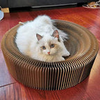 Cat Scratcher Lounge Bed - Collapsible Round Shape for Big cat