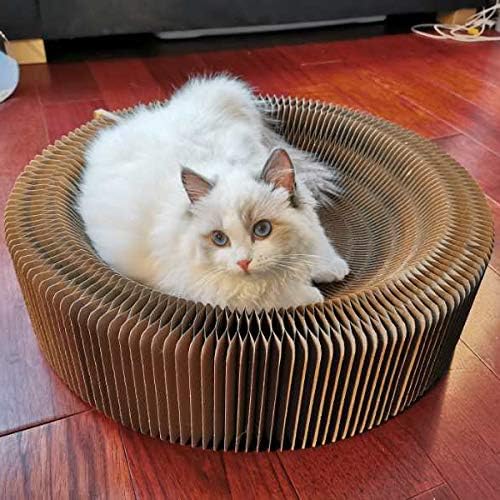 Cat Scratcher Lounge Bed - Collapsible Round Shape for Big cat