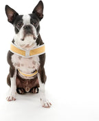 Gooby Simple Step in III Harness - Yellow, Small - Small Dog Harness with Scratch Resistant Outer Vest - Soft Inner Mesh Harness for Small, Medium Dogs