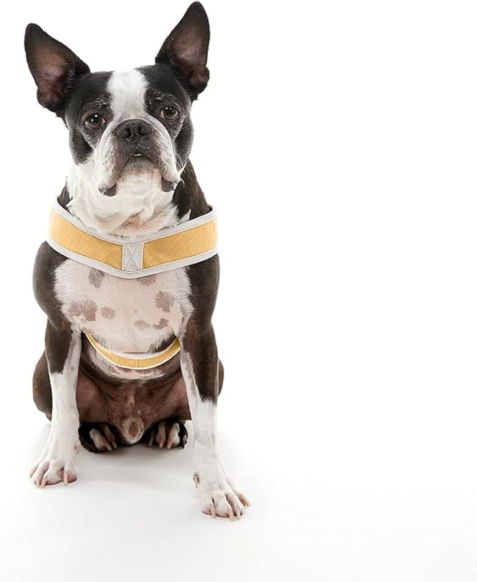 Gooby Simple Step in III Harness - Yellow, Small - Small Dog Harness with Scratch Resistant Outer Vest - Soft Inner Mesh Harness for Small, Medium Dogs