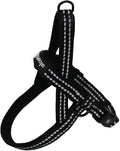 Alcott Norwegian Harness, Black, Extra Large