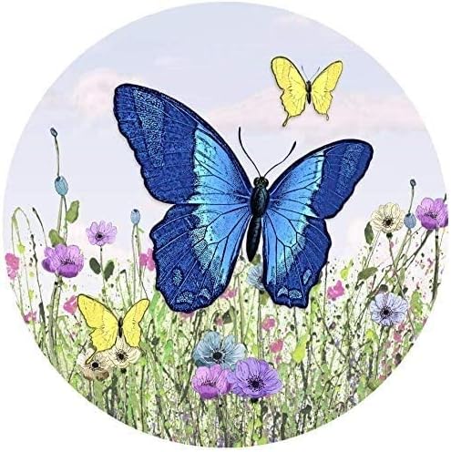 Screen Door Magnets Double Sided – Keep People, Kids, and Dogs from Running into a Screen Door. Saver - Robbins Aria Butterfly