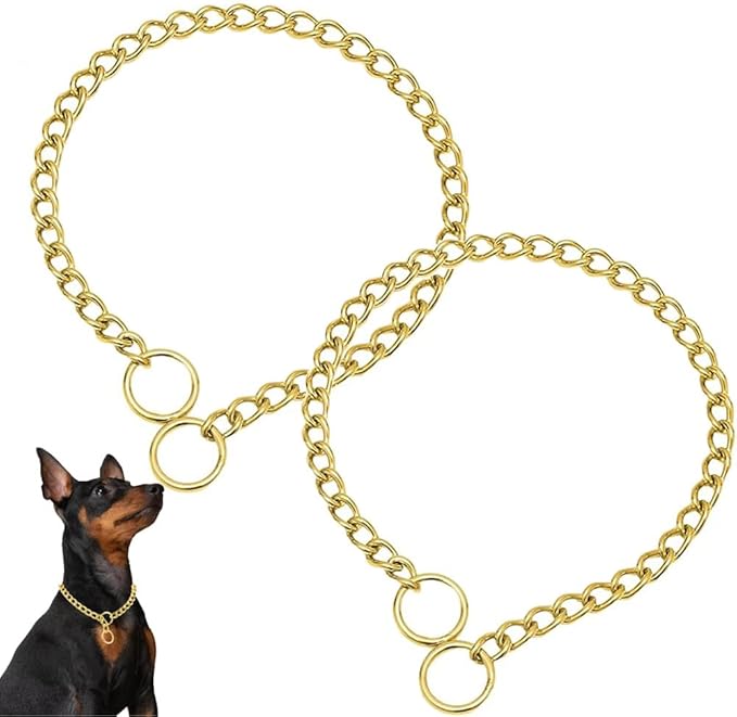 Gold Chain Choke Collar for Medium Dogs, 2Pack Heavy Duty Training Collar for Dogs Metal Slip P Link Martingale Collars for XXS XS Small Medium Large Dogs Puppy, S