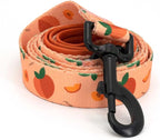Dog Harness and Leash Set, Adjustable Dog Harness, Dog Leash, No Pull No Choke Puppy Harnesses for Walking Training for Small Medium Pet