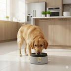 Prestige Pets Road Refresher™️ - Cat and Dog Water Bowl Dispenser - No Spill Water Bowl for Dogs and Cats - Travel Cat Bowl or Dog Bowl - Grey - Large