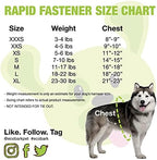 EcoBark Step in Dog Harness - Eco-Friendly Teacup Dog Harnesses for XXS, XS, and Small Breed Dogs - Reflective and Adjustable Mini Body Halter Vest -Tiny Soft Mesh Toy Breed Harness (Forest Green, XS)