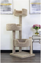 Cat Tree for Large Cats - Solid Wood & Carpet 50" Tall
