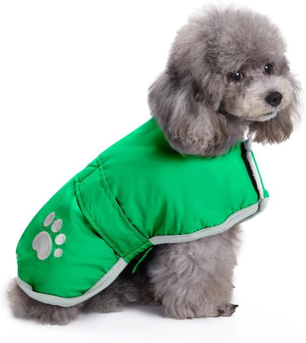 Queenmore Dog Winter Coat, Cold Weather Fleece Jacket for Dogs, Waterproof Reflective Reversible, for Small, Medium and Large Dogs (Green, XS)