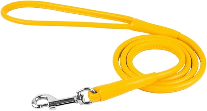 CollarDirect Rolled Leather Dog Leash 4ft, Soft Padded Training Leather Dog Lead 6ft, Puppy Leash Rolled Leather Small Medium Large Black Blue Red Orange Green Pink White (Purple, Size L 6ft)